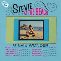 Stevie at the Beach